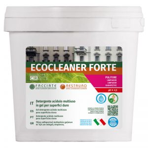 ECOCLEANER FORTE